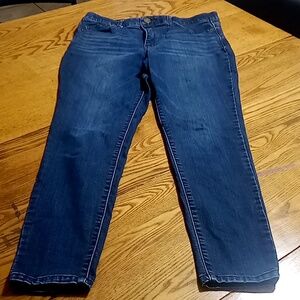 DEMOCRACY Jeans Womens 10 BLUE DENIM Preowned Casual AB SOLUTION Used
